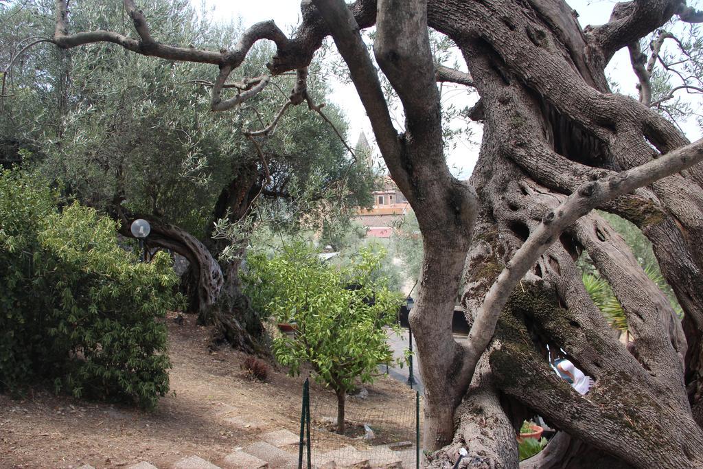 דירות טיבולי Millenovecento מראה חיצוני תמונה