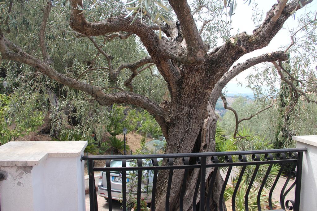 דירות טיבולי Millenovecento מראה חיצוני תמונה